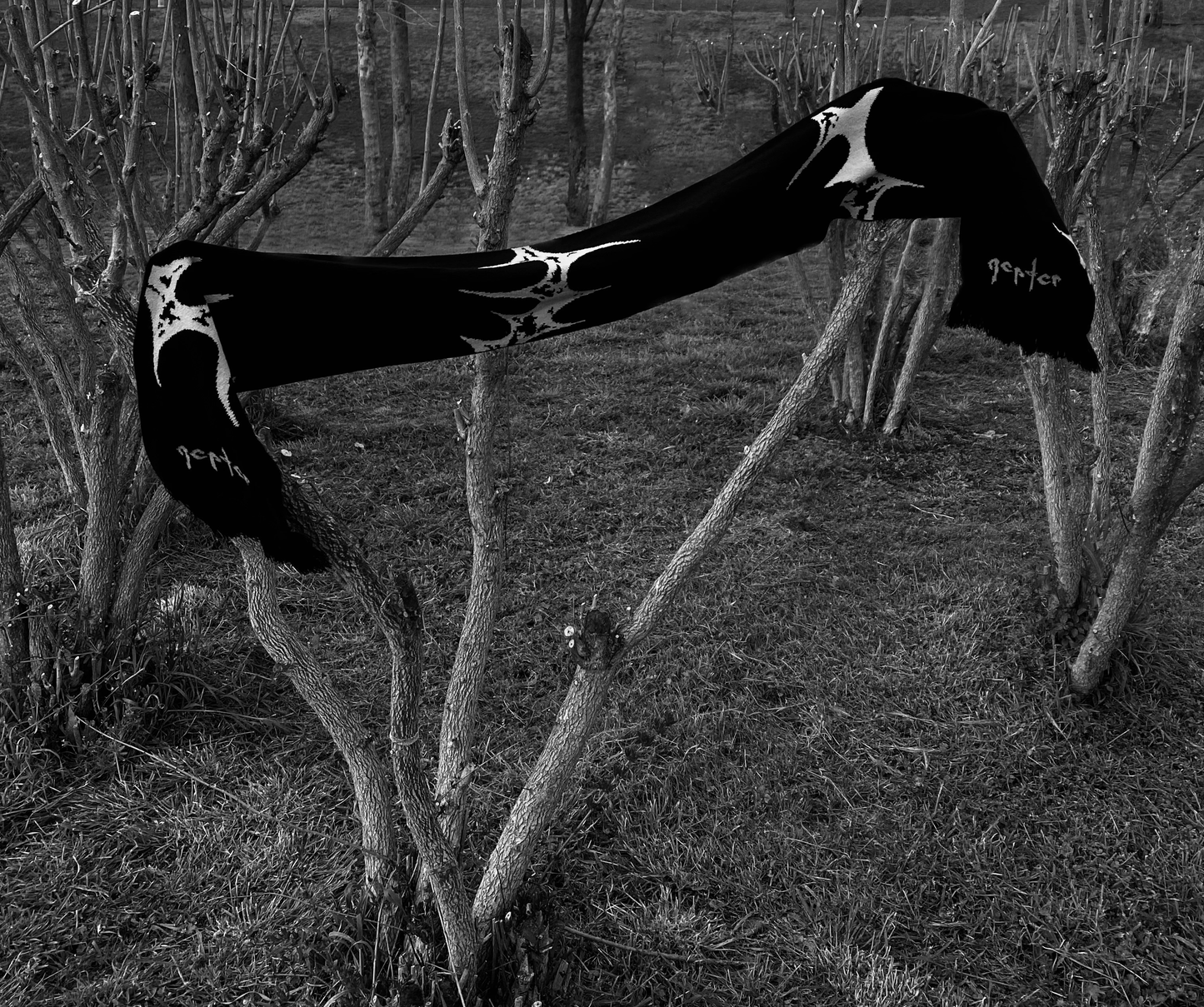 Thorn Scarf