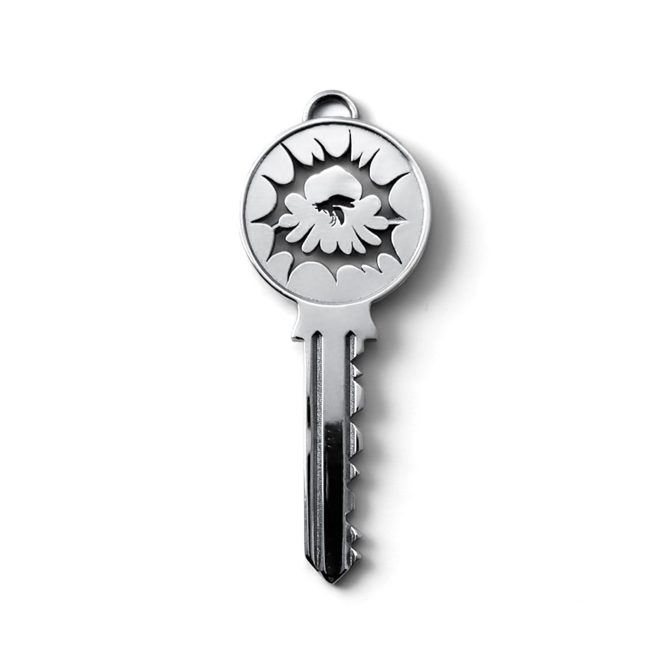 Cabinet Key