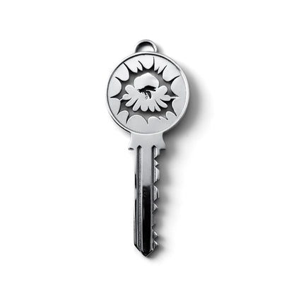 Cabinet Key