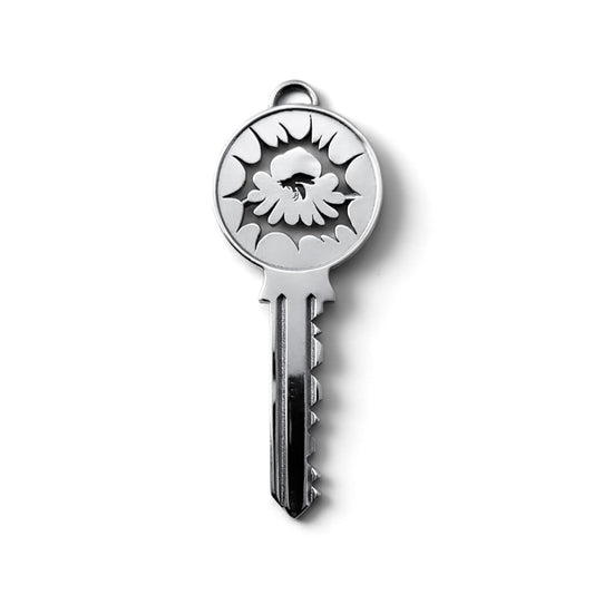 Cabinet Key